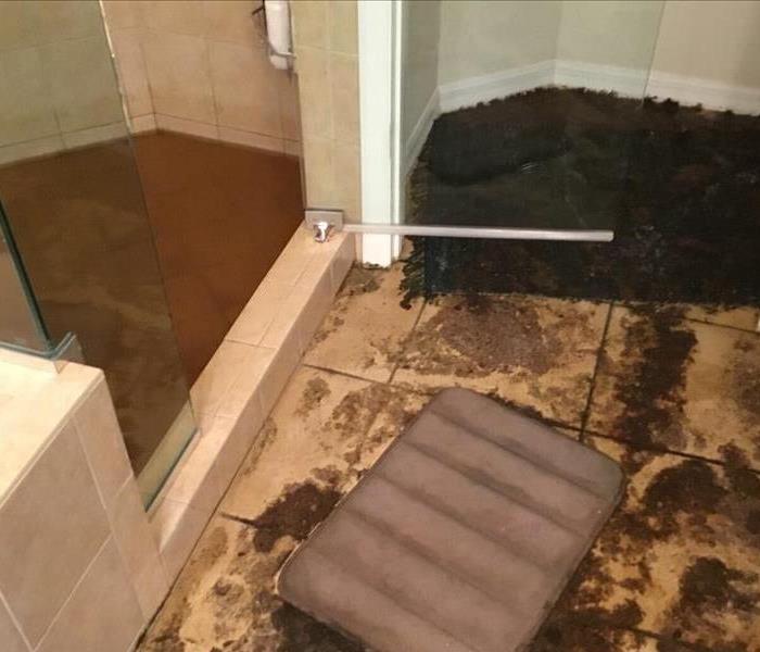 Sewage in shower and flooring