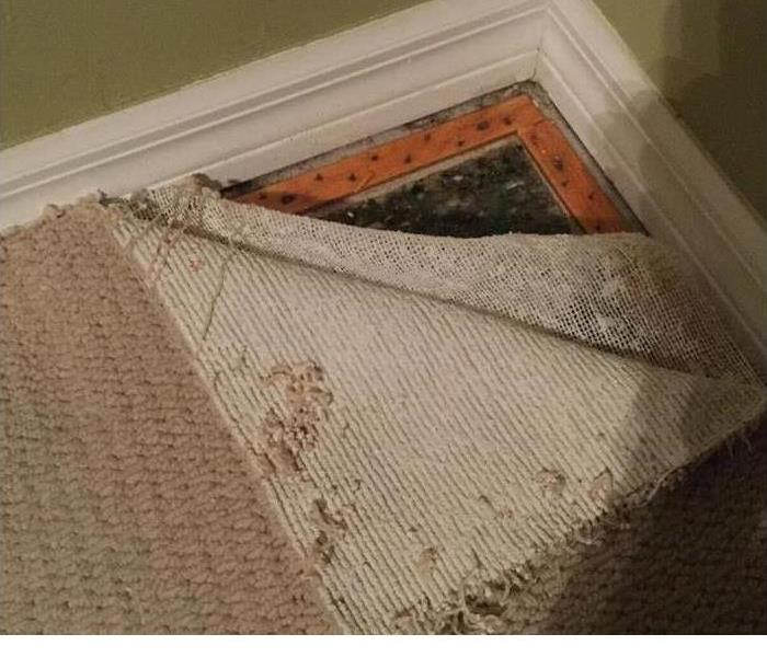carpet pulled from wall