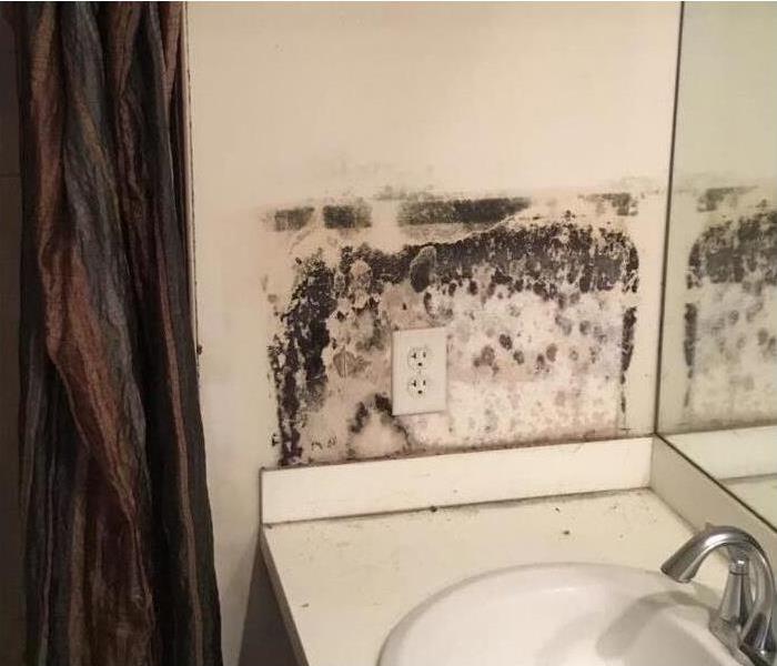 A bathroom with mold damage